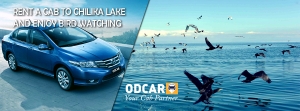 Odcar Offering Bhubaneswar Car Rental in Affordable Price